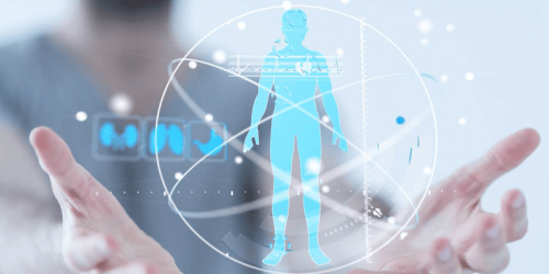 FitBiz: The Fitness Future: Rules of Engagement